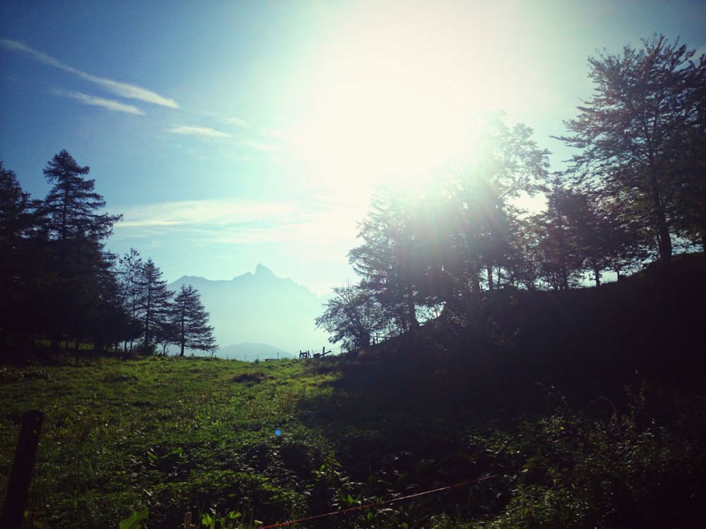 Sur la route de l'Abbaye - Valais2015